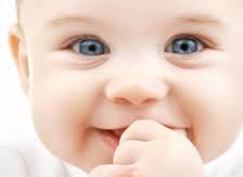 Searching for the right food